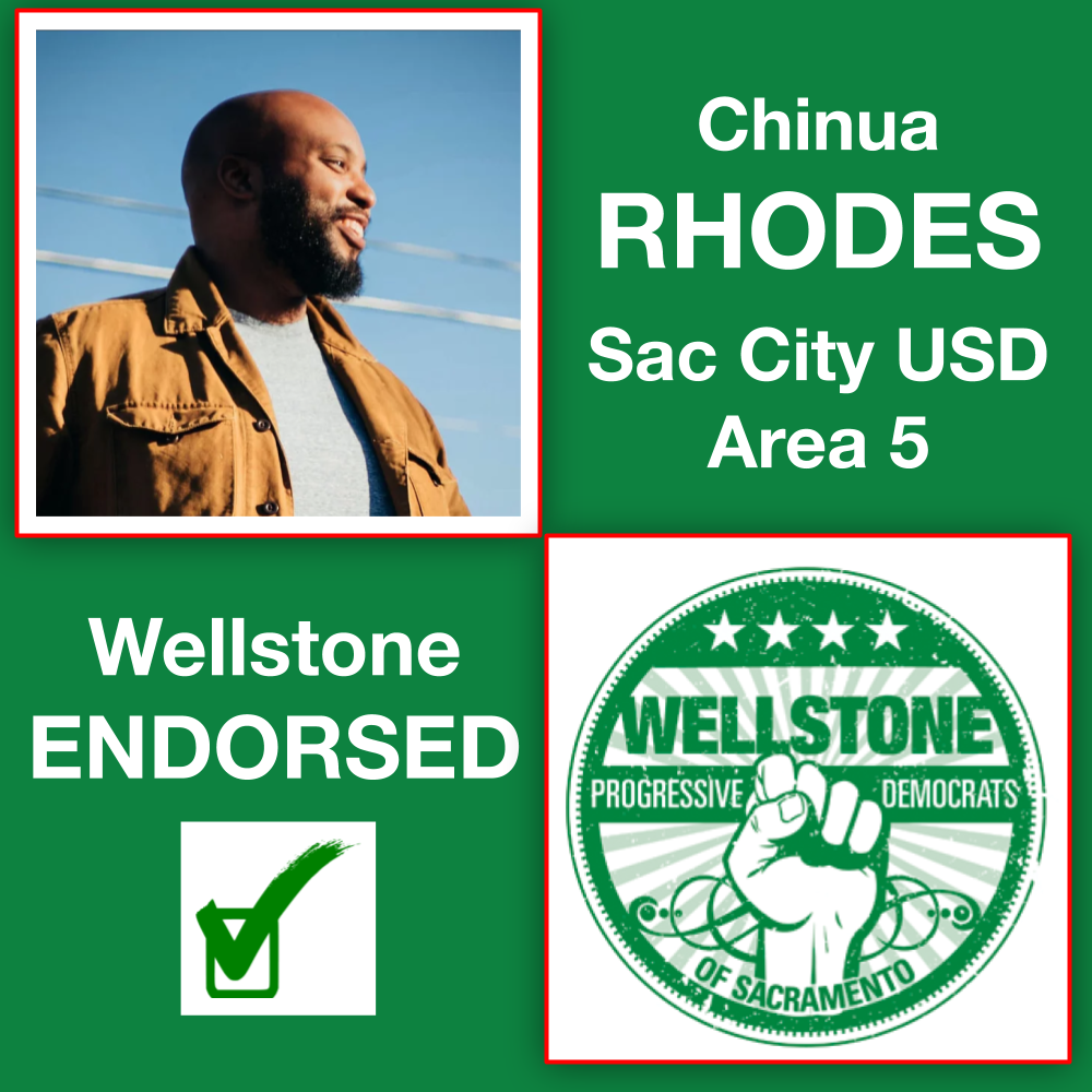 WPDS Endorsement 2020 Chinua Rhodes