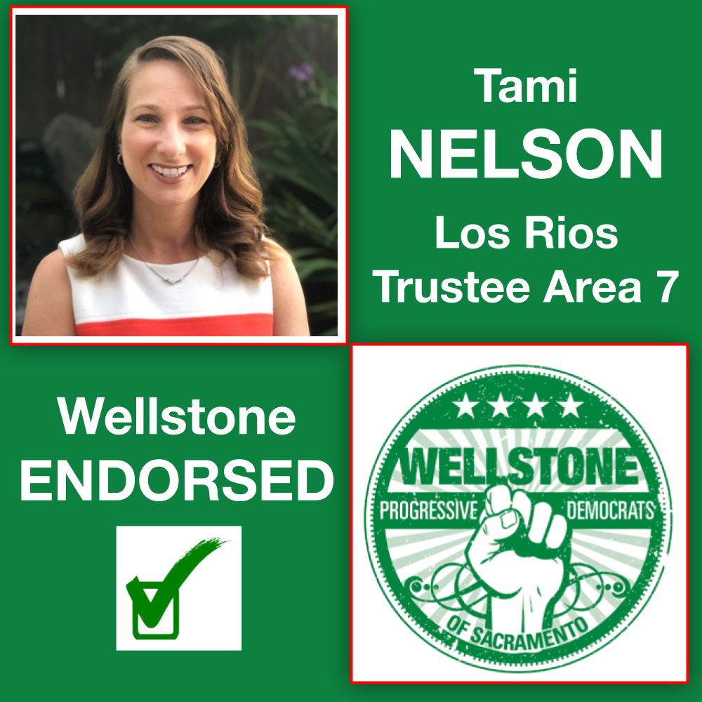 WPDS Endorsement 2020 Tami Nelson