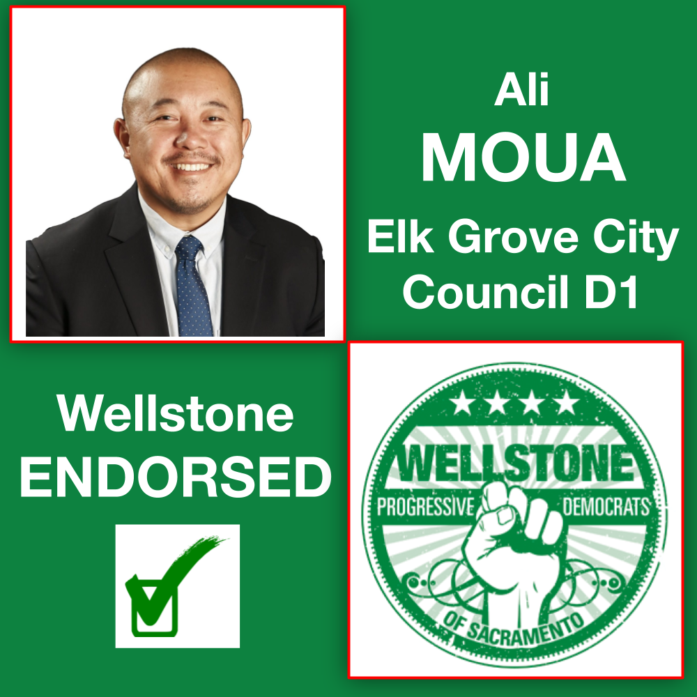 WPDS Endorsement 2020 Ali Moua
